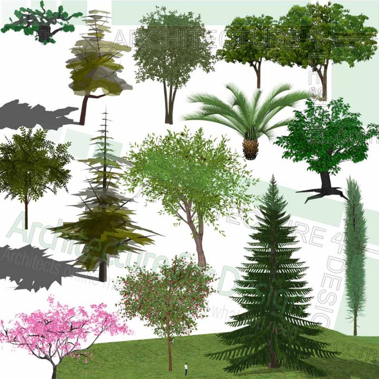 Trees, shrubs and flowering plants Sketchup models, Free download!