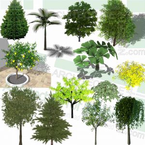 tropical trees SketchUp models
