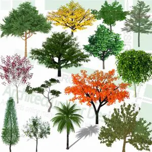 trees SketchUp models