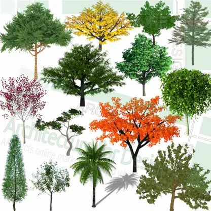 trees SketchUp models